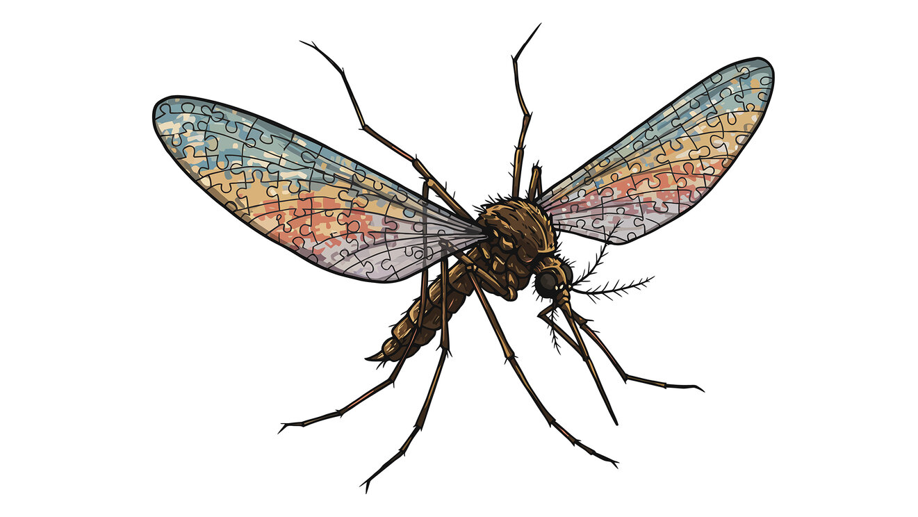 Detailed Mosquito Illustration with Puzzle Piece Wing Design.
