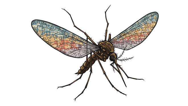 Detailed Mosquito Illustration with Puzzle Piece Wing Design.