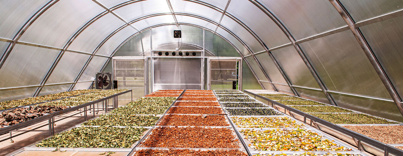 Colourful herbs in Solar dryer greenhouse for drying food and agriculture products 