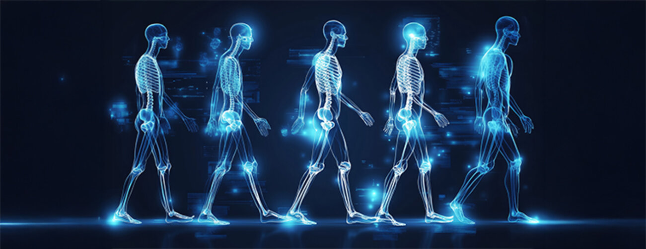 Dynamic display of human skeletal walking