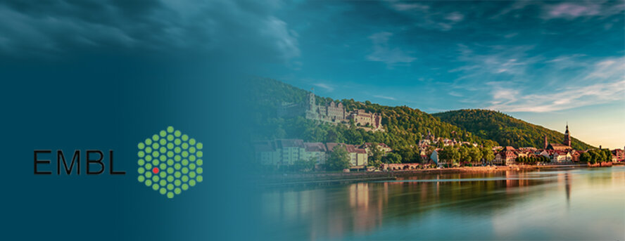 Panoramic view of Heidelberg old town and ruins of Heidelberg Castle, Germany.