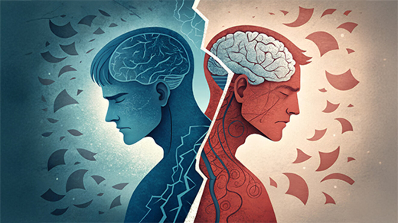 Cognitive Dissonance Internal Conflict and Emotional Tension