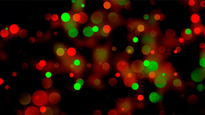 Festive bokeh illumination with warm red and green lights on black