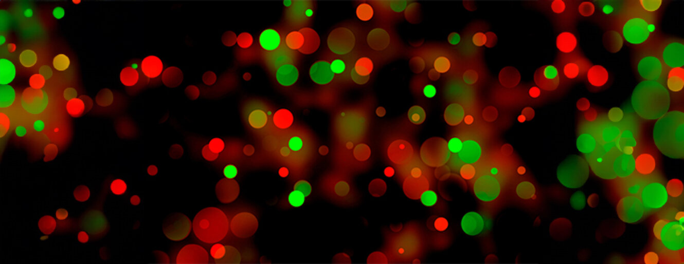 Festive bokeh illumination with warm red and green lights on black