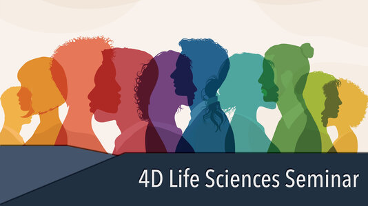 Silhouettes of a Diverse Group of people from the side. Community of colleagues or collaborators. 