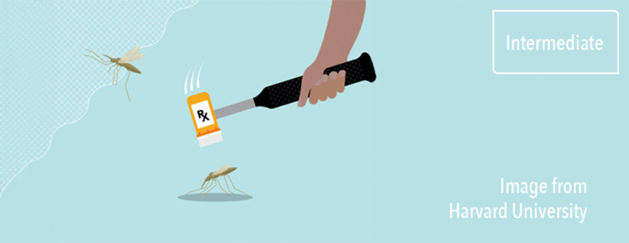 Cartoon of a hand holding a hammer, whose head is a typical American medicine container. The Hammer is about to hit a mosquito.