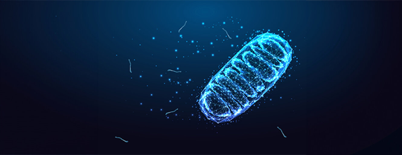 Futuristic mitochondria eukaryotic organelle in glowing low polygonal style isolated on dark blue