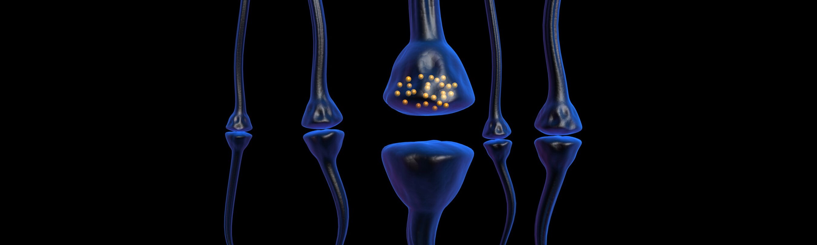 Synapses with neurotransmitters