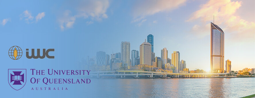 Brisbane city skyline at twilight in Australia