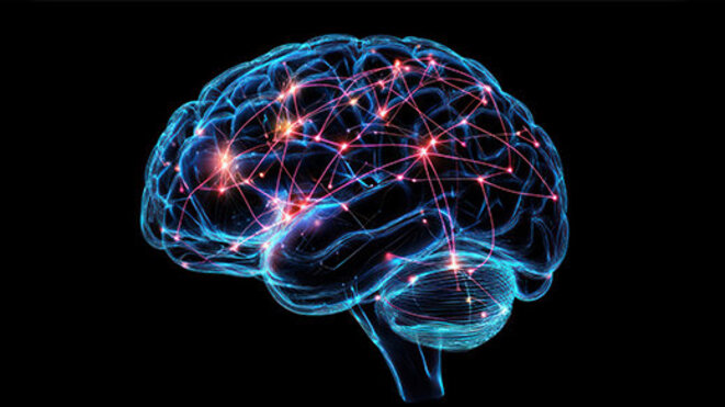 A medical illustration of the brain with highlighted regions associated with different functions and nervous system activities 