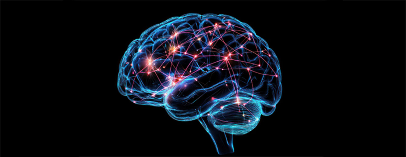 A medical illustration of the brain with highlighted regions associated with different functions and nervous system activities 