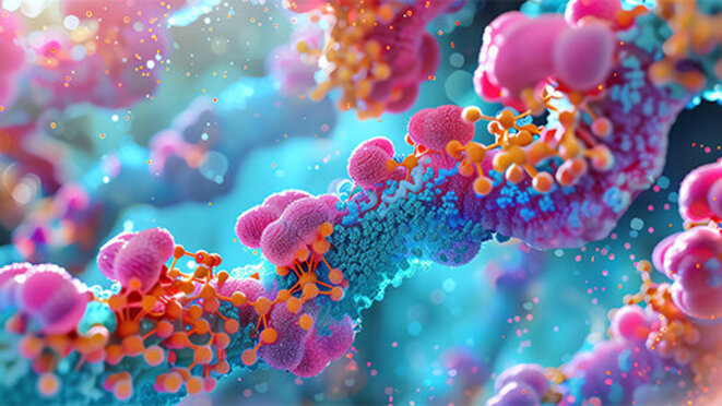 Protein synthesis in a cell, detailed ribosome and mRNA interaction, vibrant colors, high realism.