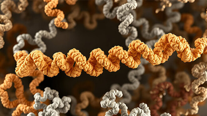 A highresolution image of a glycosylated protein in its native conformation emphasizing the role of glycosylation in maintaining proper protein folding