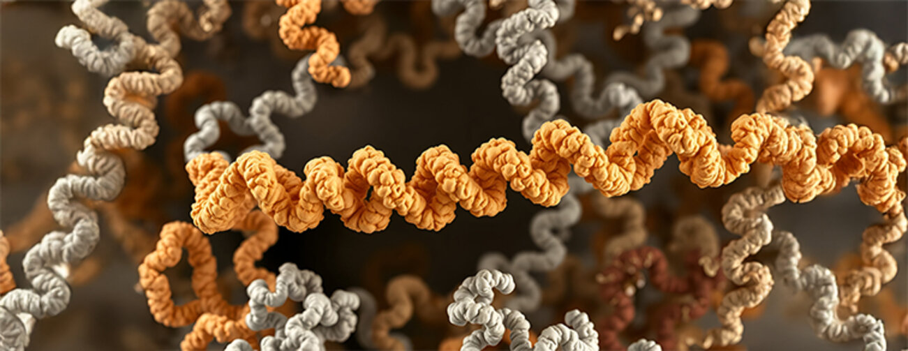 A highresolution image of a glycosylated protein in its native conformation emphasizing the role of glycosylation in maintaining proper protein folding 