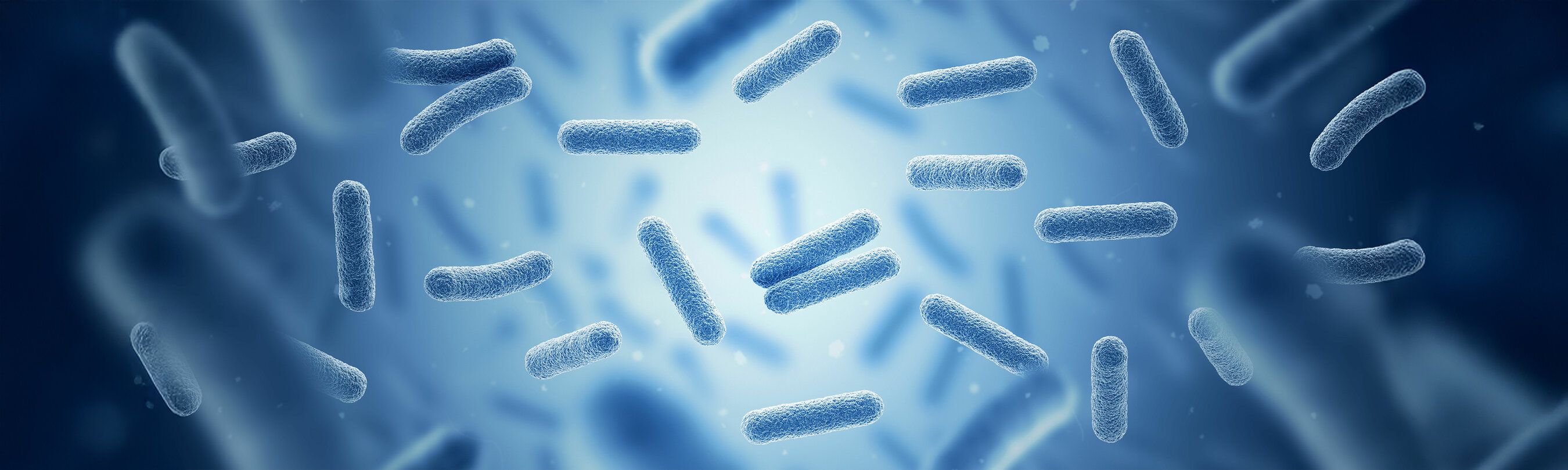 https://stock.adobe.com/de/images/bacteria-bacterium-blue-color-prokaryotic-microorganisms-3d-illustration-banner/419746828