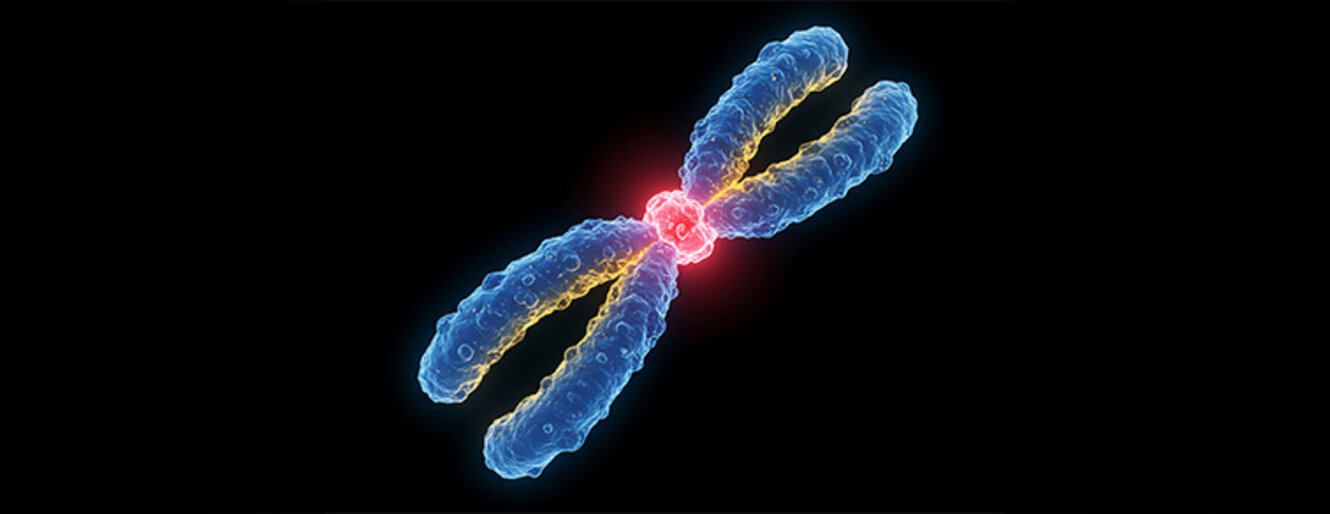 Chromosome with centromere structure