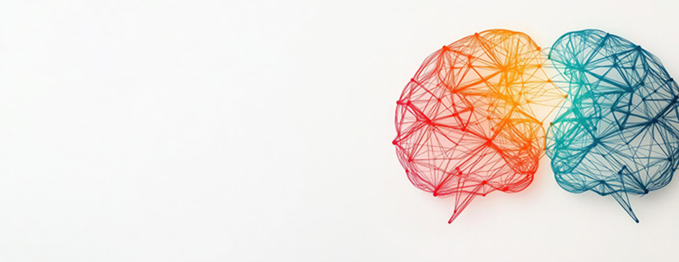 Colorful wireframe depiction of two interconnected brains in a minimalist style. 