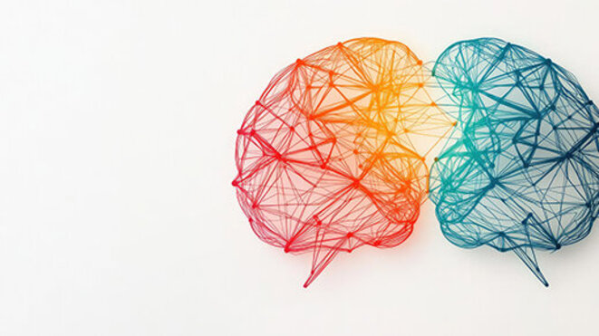 Colorful wireframe depiction of two interconnected brains in a minimalist style. 