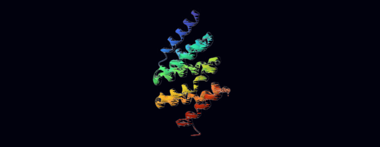 Protein structure of Pol-II CTD