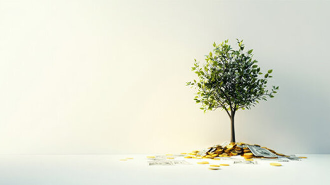 Thriving tree sprouting from abundant coins and cash