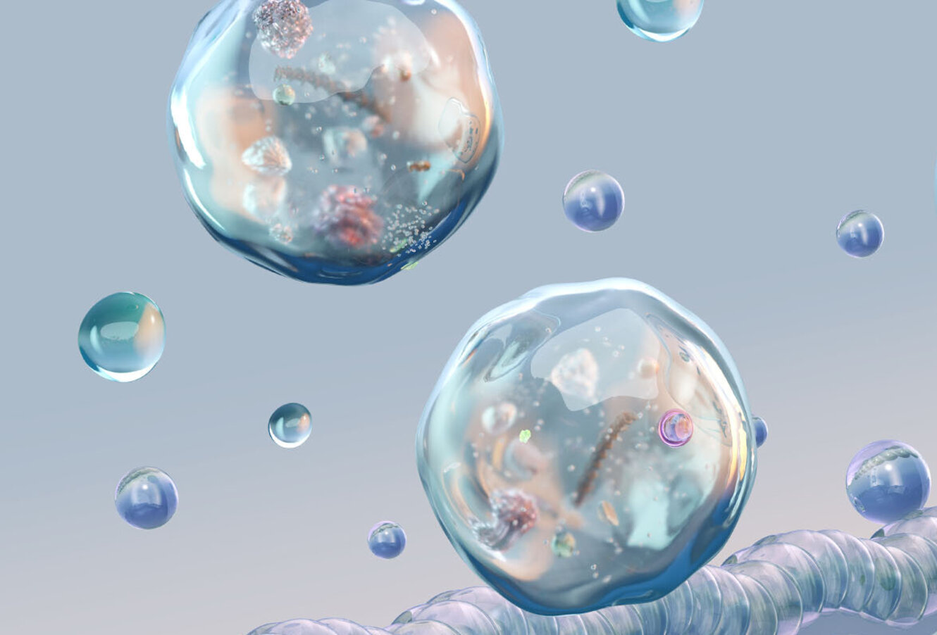 Exosomes released from cellular membrane into extracellular environment, nanoscopic lipid bilayer vesicles carrying RNA, proteins, molecular cargo. Biomolecular components, intercellular transport 
