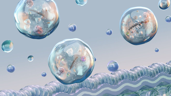 Exosomes released from cellular membrane into extracellular environment, nanoscopic lipid bilayer vesicles carrying RNA, proteins, molecular cargo. Biomolecular components, intercellular transport 