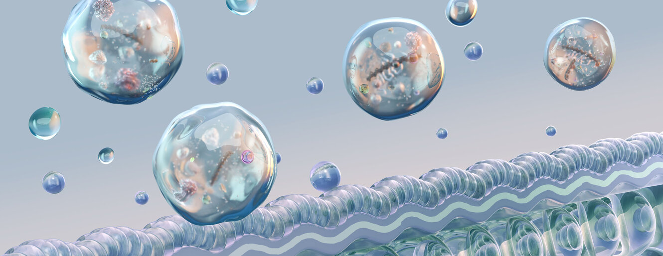 Exosomes released from cellular membrane into extracellular environment, nanoscopic lipid bilayer vesicles carrying RNA, proteins, molecular cargo. Biomolecular components, intercellular transport