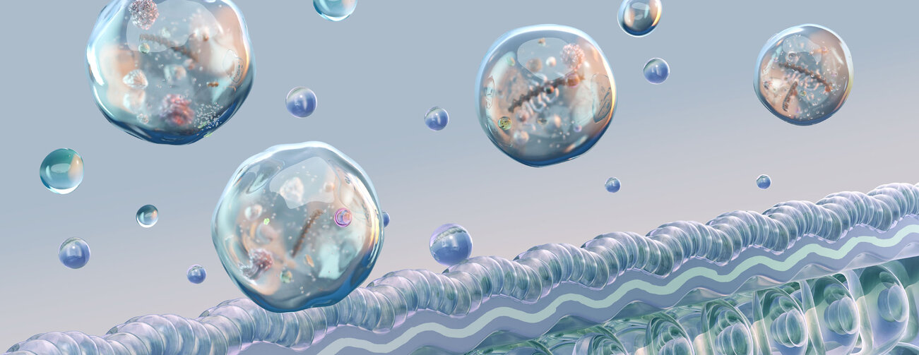 Exosomes released from cellular membrane into extracellular environment, nanoscopic lipid bilayer vesicles carrying RNA, proteins, molecular cargo. Biomolecular components, intercellular transport