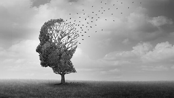 Alzheimer Disease concept - back and white image of a tree in form of a head with the leaves flying away in the back