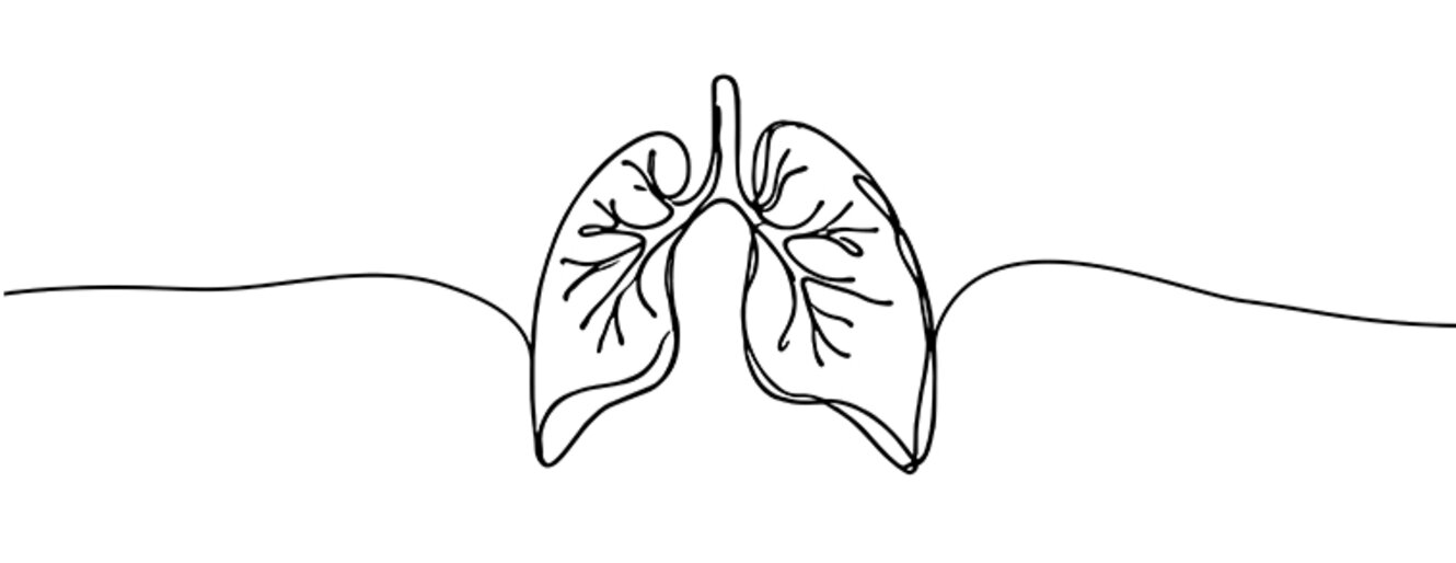 Lungs Hand drawn icon continuous line drawing. Human organs Creative abstract art background, Single continuous line art of lungs. Lungs human organ one line illustration