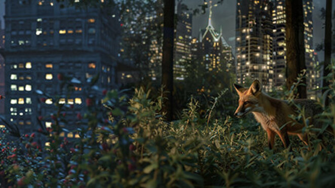 A raccoon on the left and a fox on the right positioned in an urban setting amidst plants, with city lights and skyscrapers in the background, depicting the blending of nature and urban life.