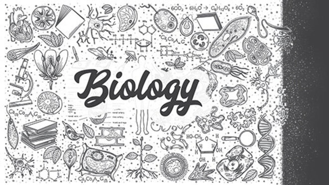 Hand drawn biology doodle